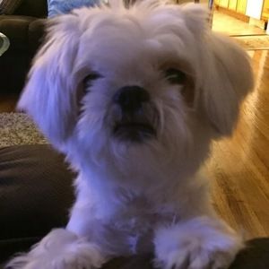 Meet your Posher, Marlene